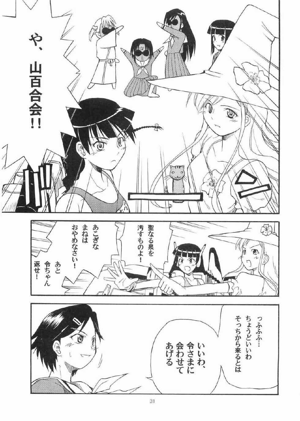 (C71) [type=punishment (Sid Daisuke)] Bara no Kaori o Mahou ni Nosete Todoku to ii na Anata no Kokoro e (Maria-sama ga Miteru) - Page 30