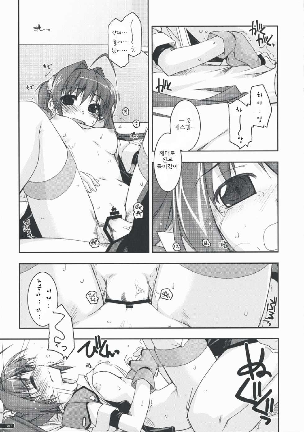 (C76) [Angyadow (Shikei)] Estelle Ijiri (The Legend of Heroes: Sora no Kiseki) [Korean] [팀 아토스] - Page 16