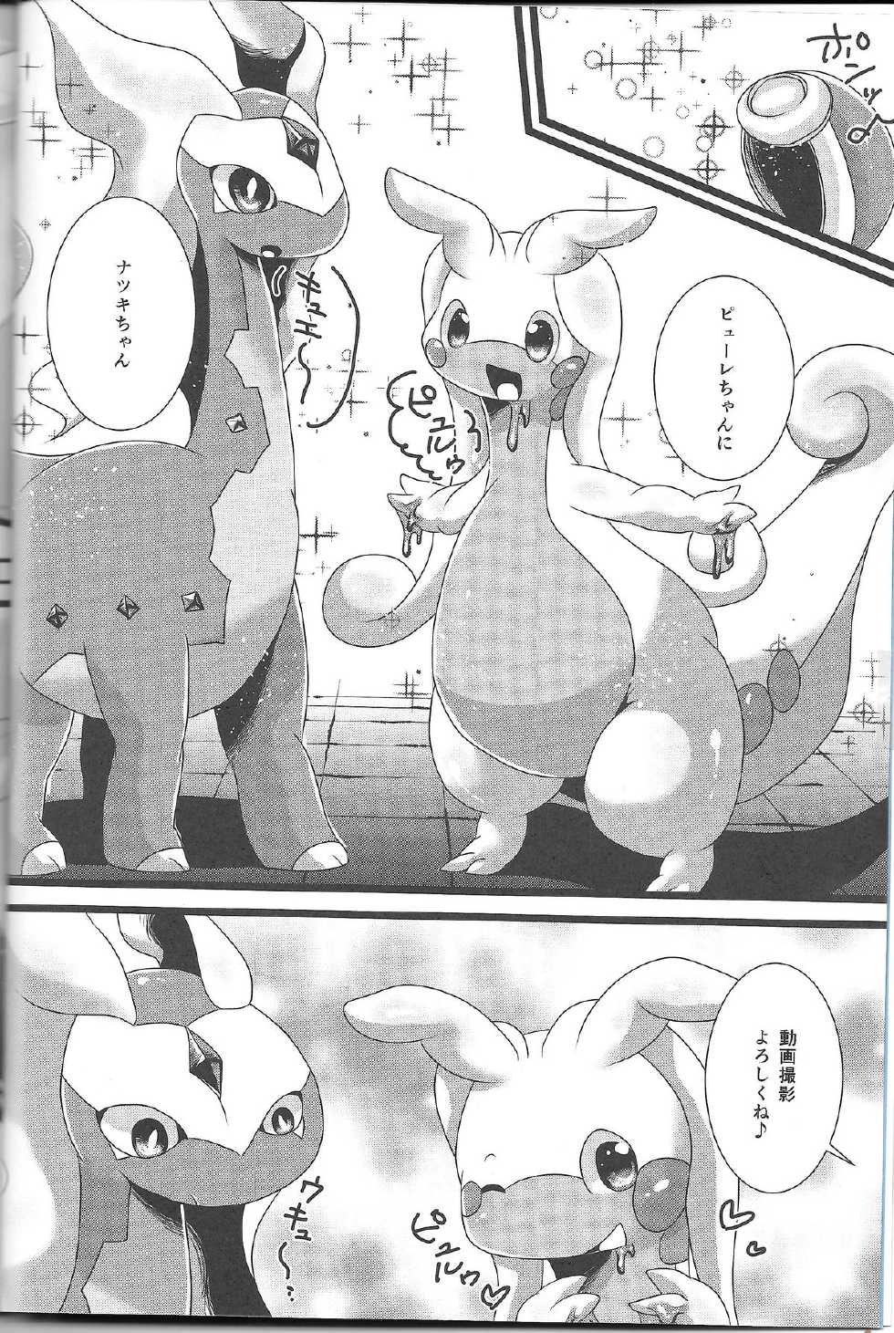 (C86) [Belphegor no 39 (Yu-ya)] Tsun Dragon (Pokémon X and Y) - Page 3