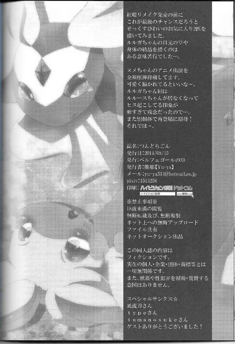 (C86) [Belphegor no 39 (Yu-ya)] Tsun Dragon (Pokémon X and Y) - Page 21