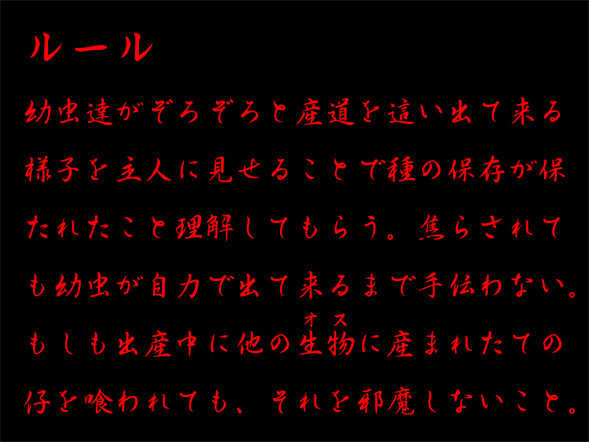 [nidhog] ルール - Page 37