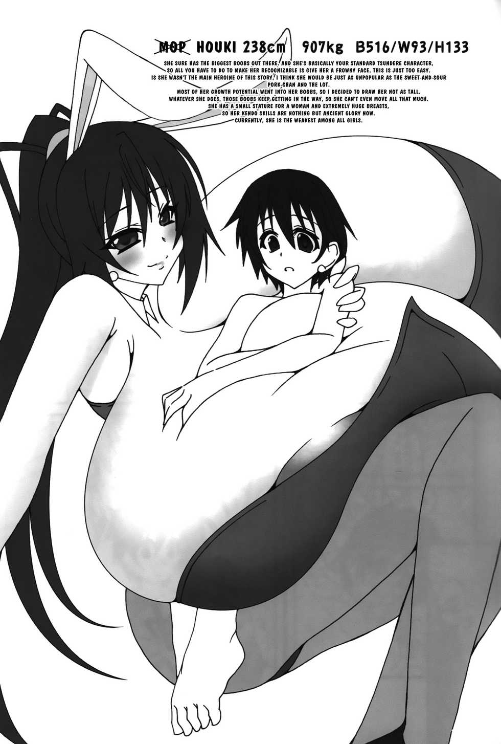 [elflite (Agata Akira)] HugeGirls World (IS <Infinite Stratos>) [English] - Page 26