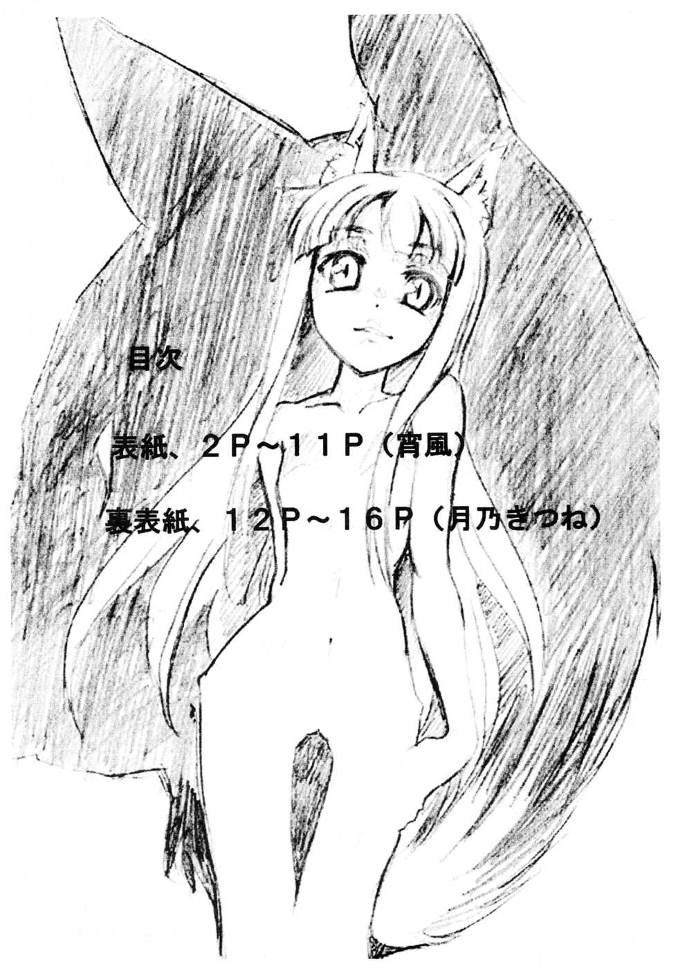 (C73) [Otsukimi Manbou (Tsukino Kitsune, Yokaze)] Ookami to Shuukakusai (Spice and Wolf) - Page 3