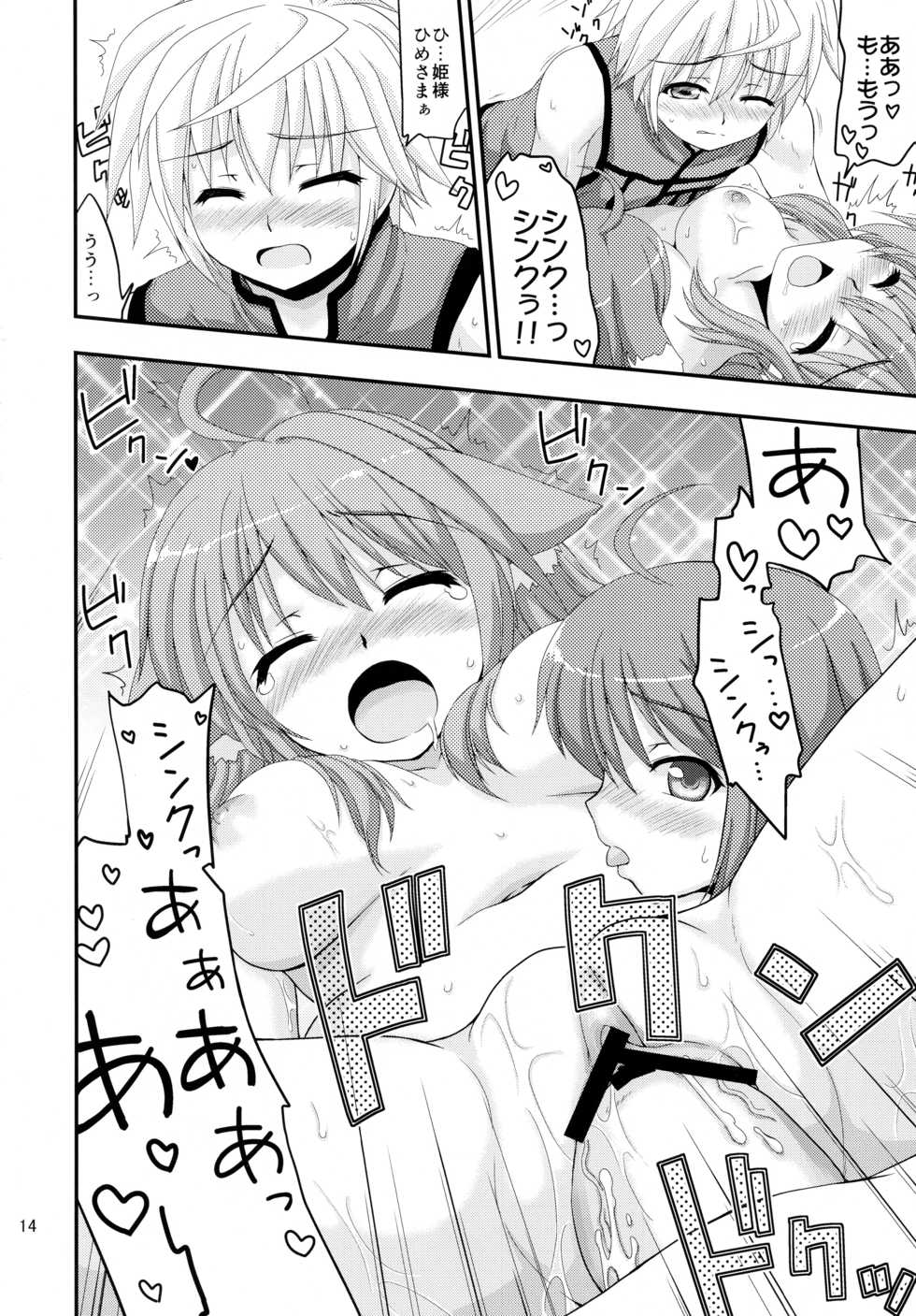 (C82) [Nanamoya (Nanamo)] Hime-sama to Eclair ga H-na Koto o suru Hon (DOG DAYS) - Page 14