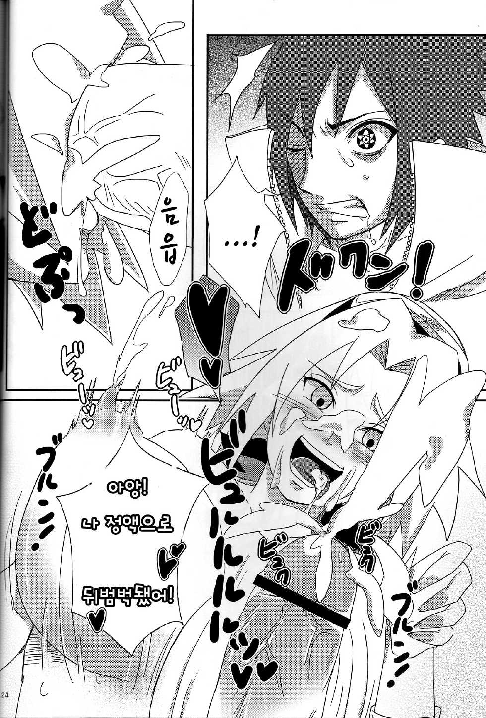 (CCOsaka94) [Pucchu (Echigawa Ryuuka, Murata., Sahara Wataru)] Sakuranbo (Naruto) [Korean] - Page 23