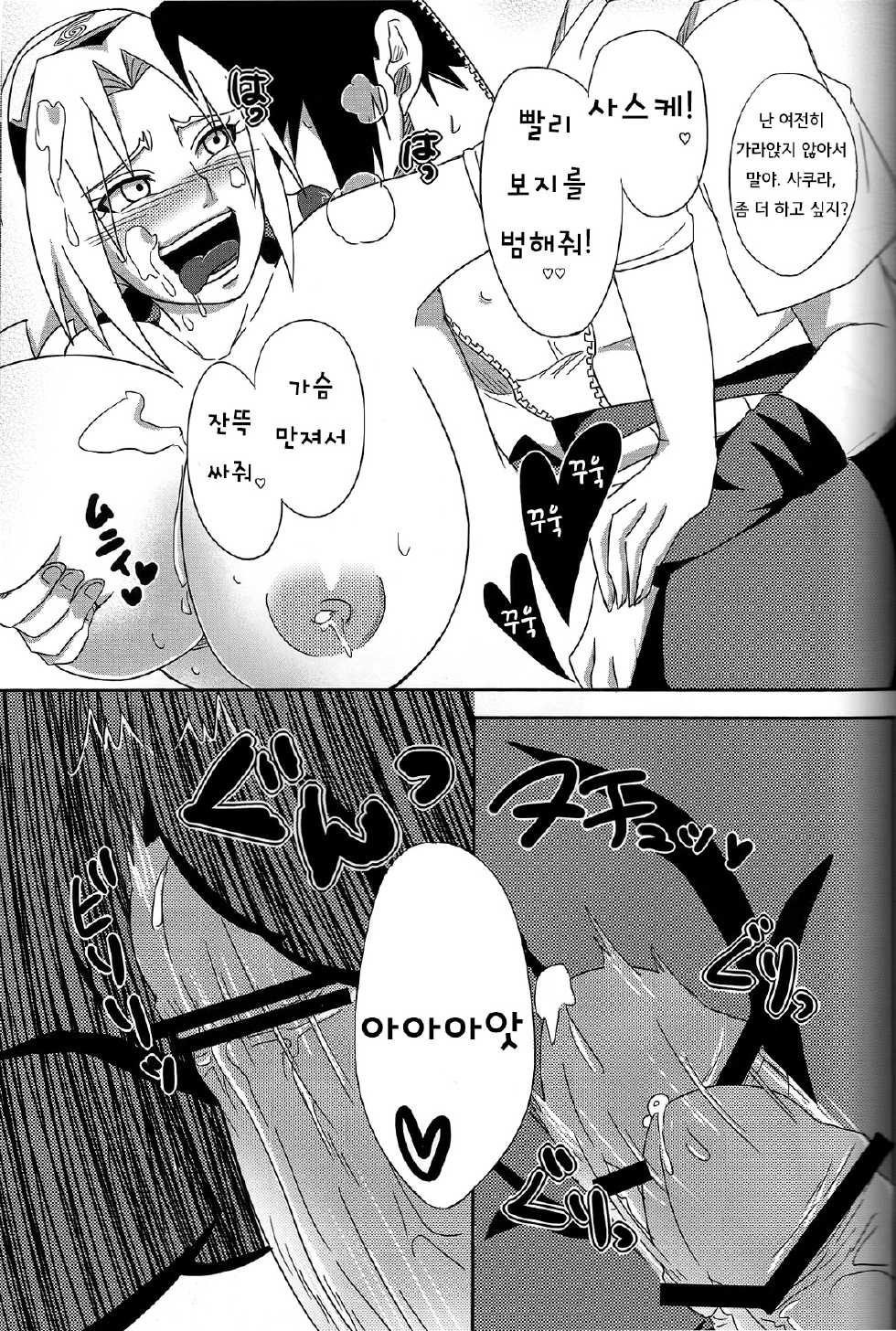 (CCOsaka94) [Pucchu (Echigawa Ryuuka, Murata., Sahara Wataru)] Sakuranbo (Naruto) [Korean] - Page 24