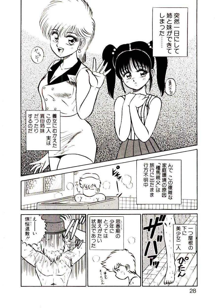 [Shinkuukan] Sisters Panic - Page 29