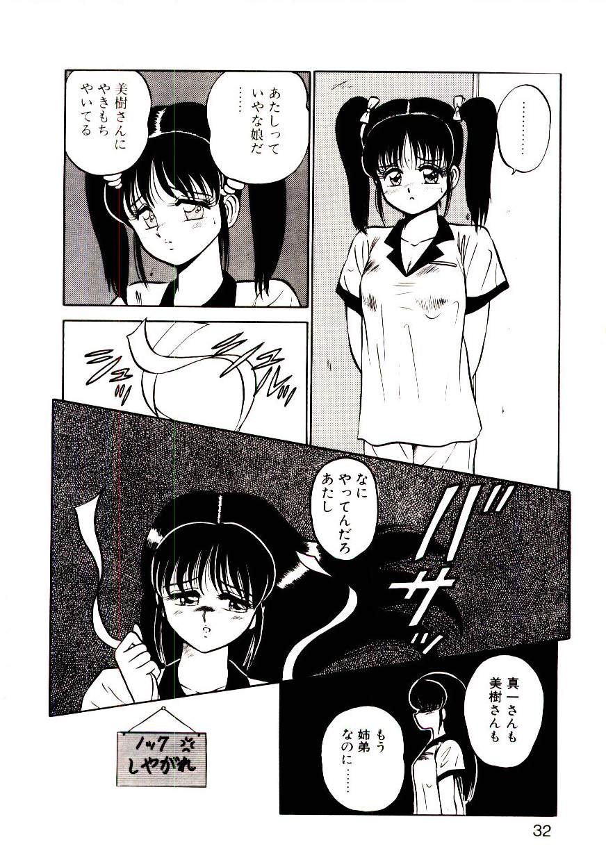 [Shinkuukan] Sisters Panic - Page 33