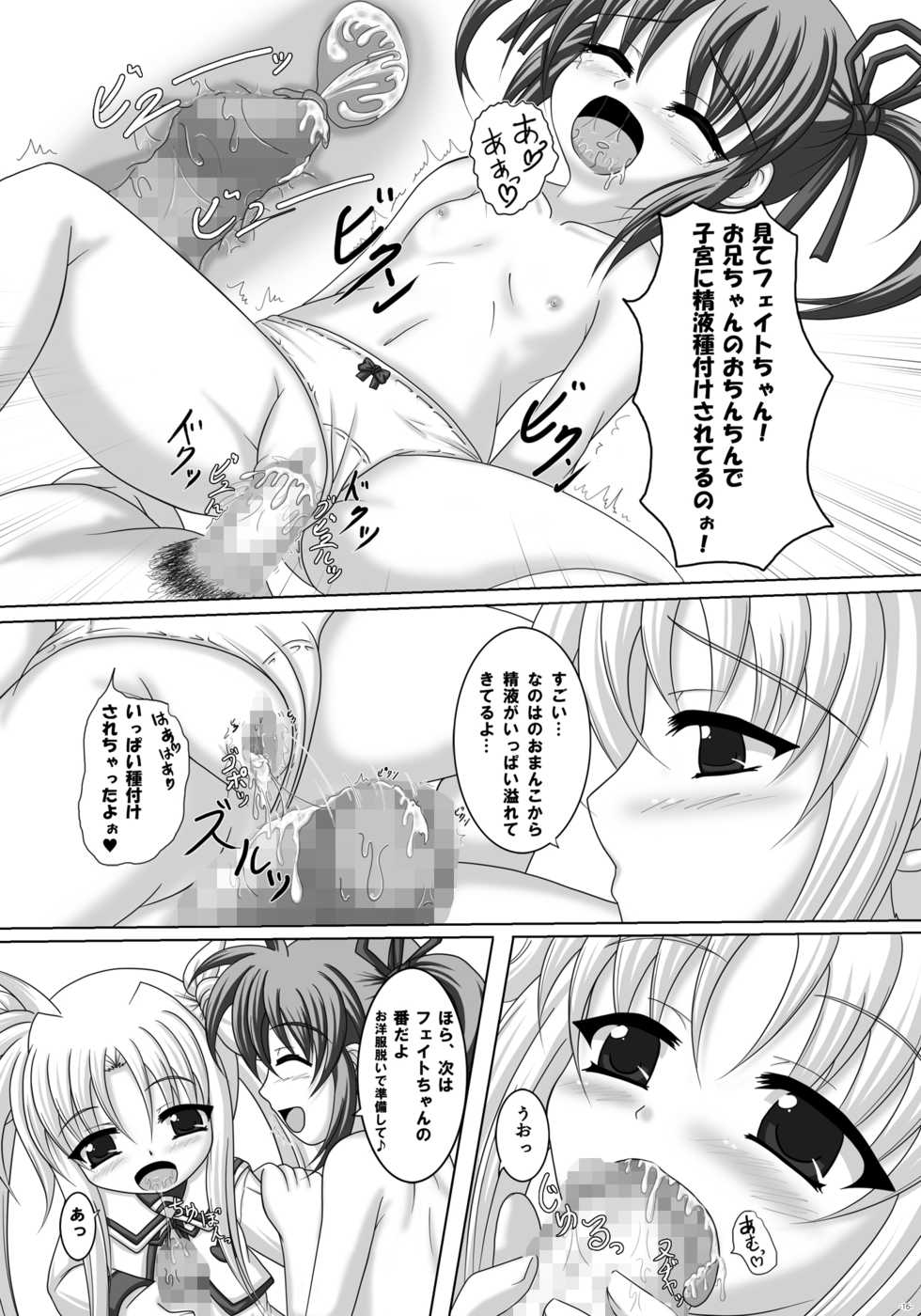 [Infinity (Scarlet)] Mahou Shoujo ni Tanetsukesuru dake no Kantan na Oshigoto desu 2 kaime! (Mahou Shoujo Lyrical Nanoha) [Digital] - Page 15