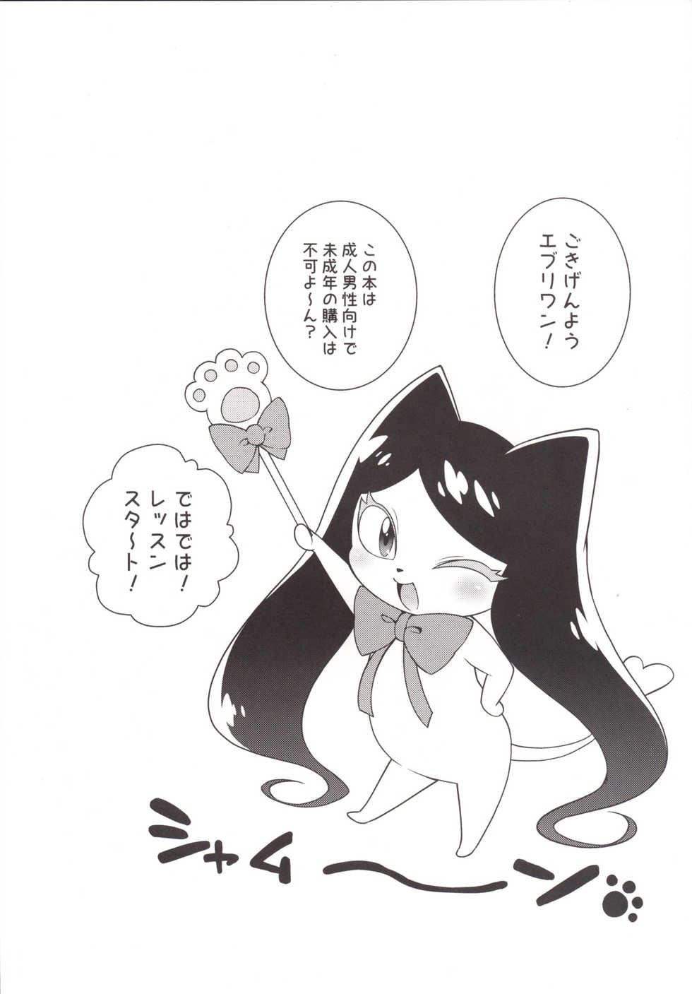 [Kaniya (Kanyapyi)] Kirara no Princess Lesson (Go! Princess PreCure) [Digital] - Page 5