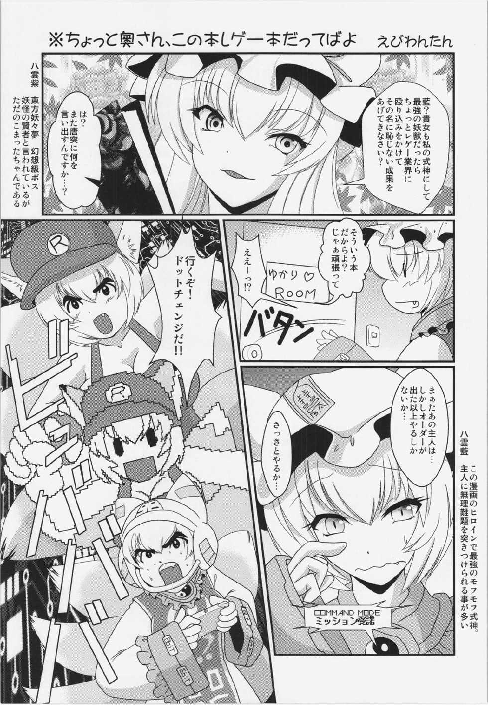 [Hinaprin, Kitsunenomori (Various)] TechnoEros (Touhou Project) - Page 3