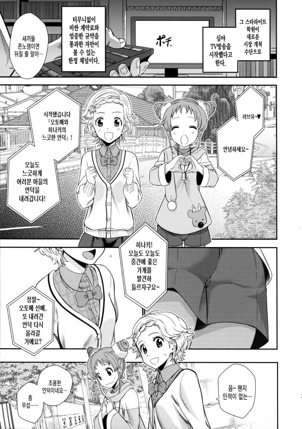 (C88) [Nobita Graph (Ishigana)] Otome to Hinaki no Jinsei Mattari Kudarizaka (Aikatsu!) [Korean] [Team Edge] - Page 2