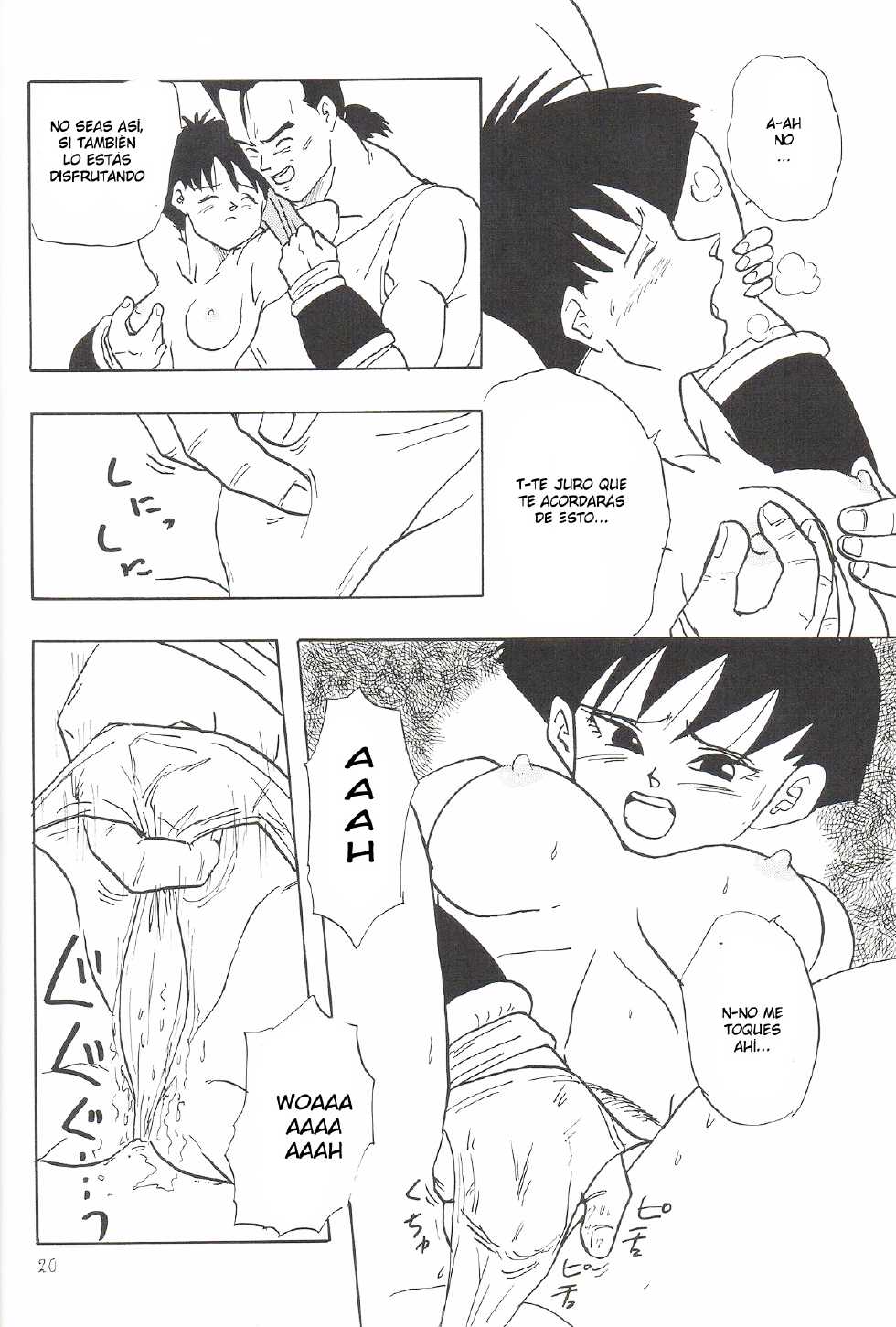 (C46) [Chirigami Goya, Fusuma Goten (Shouji Haruko)] Y (Dragon Ball Z) [Spanish] [LKNOFansub] - Page 19