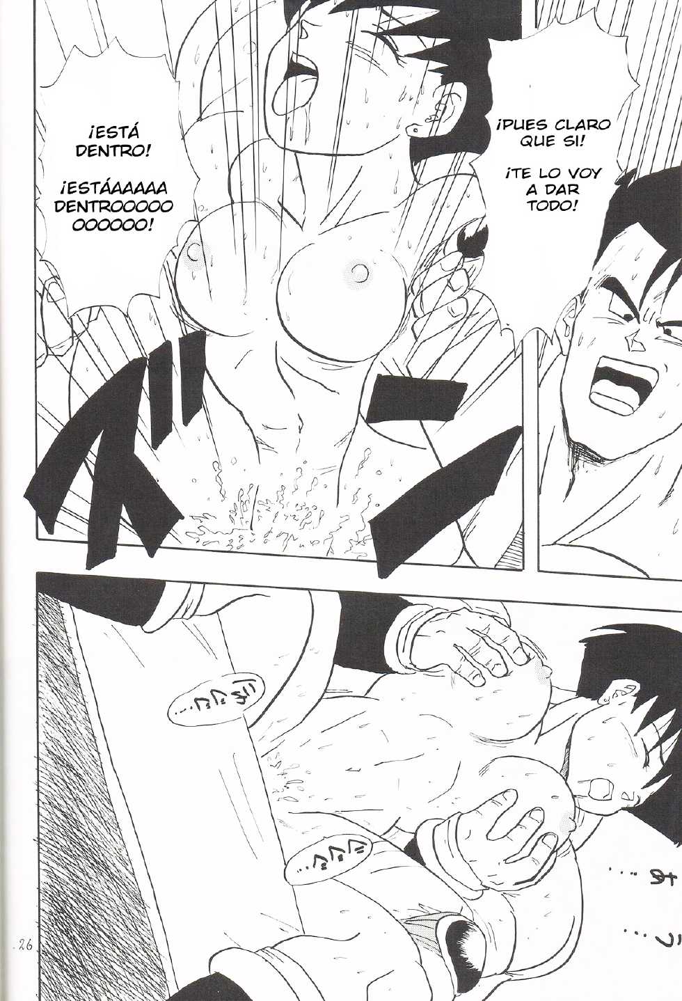 (C46) [Chirigami Goya, Fusuma Goten (Shouji Haruko)] Y (Dragon Ball Z) [Spanish] [LKNOFansub] - Page 25