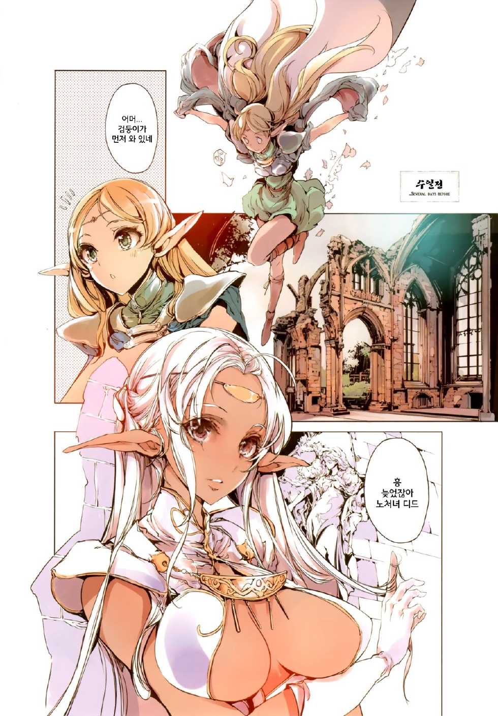 (C88) [70 Nenshiki Yuukyuu Kikan (Ohagi-san)] Elves (Record of Lodoss War) [Korean] - Page 10