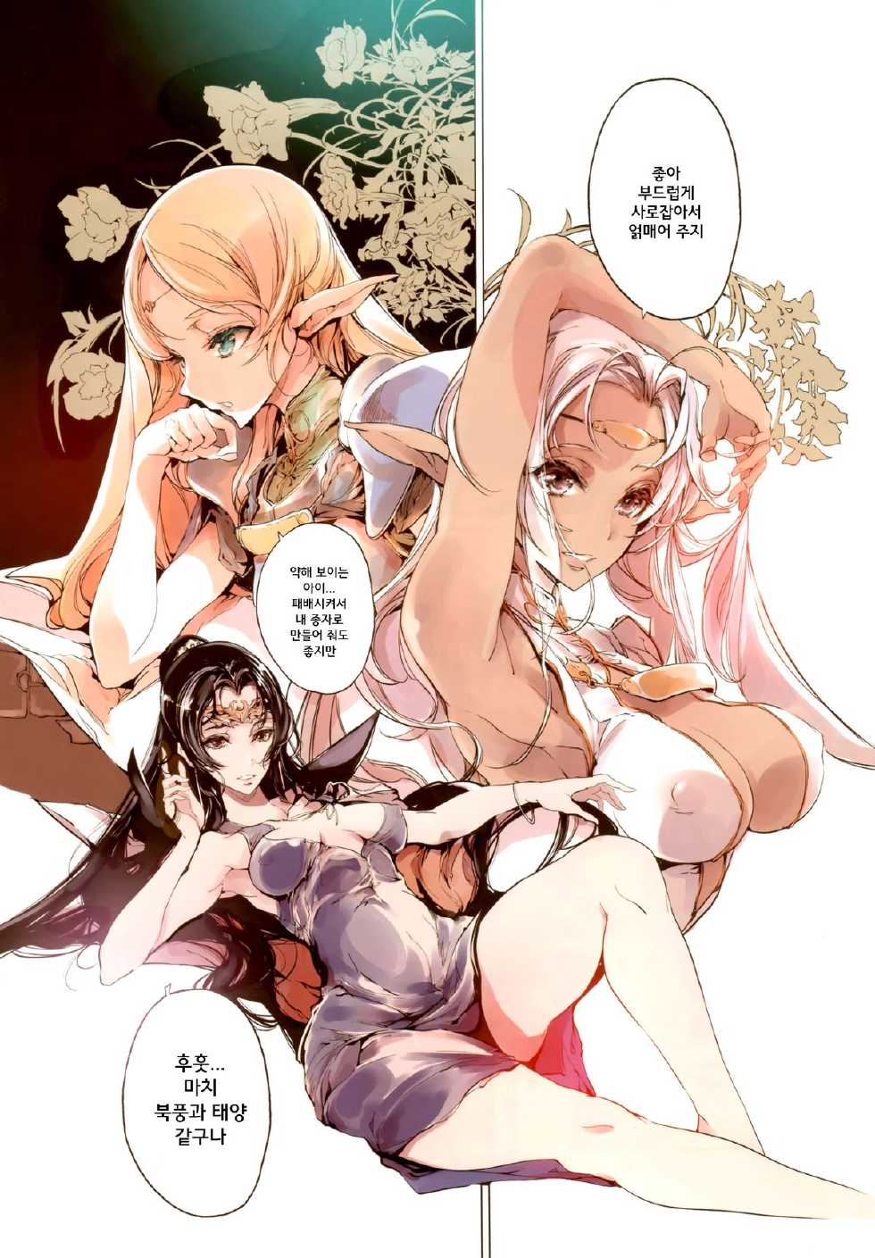 (C88) [70 Nenshiki Yuukyuu Kikan (Ohagi-san)] Elves (Record of Lodoss War) [Korean] - Page 13