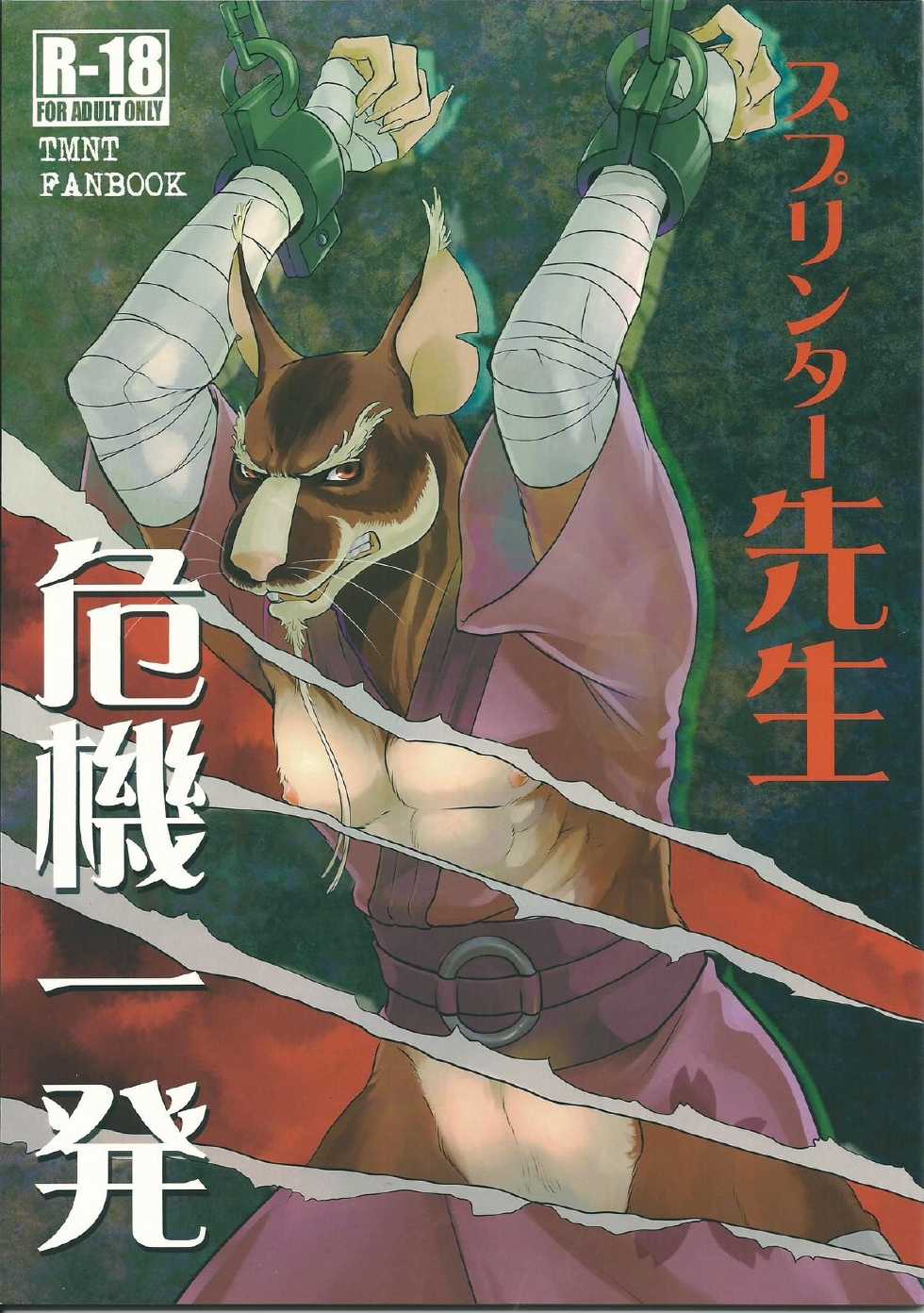 (Fur-st 8) [INK (Kreuz, Kandagawa Gufu)] Splinter-sensei Kiki-ippatsu (Teenage Mutant Ninja Turtles) - Page 1