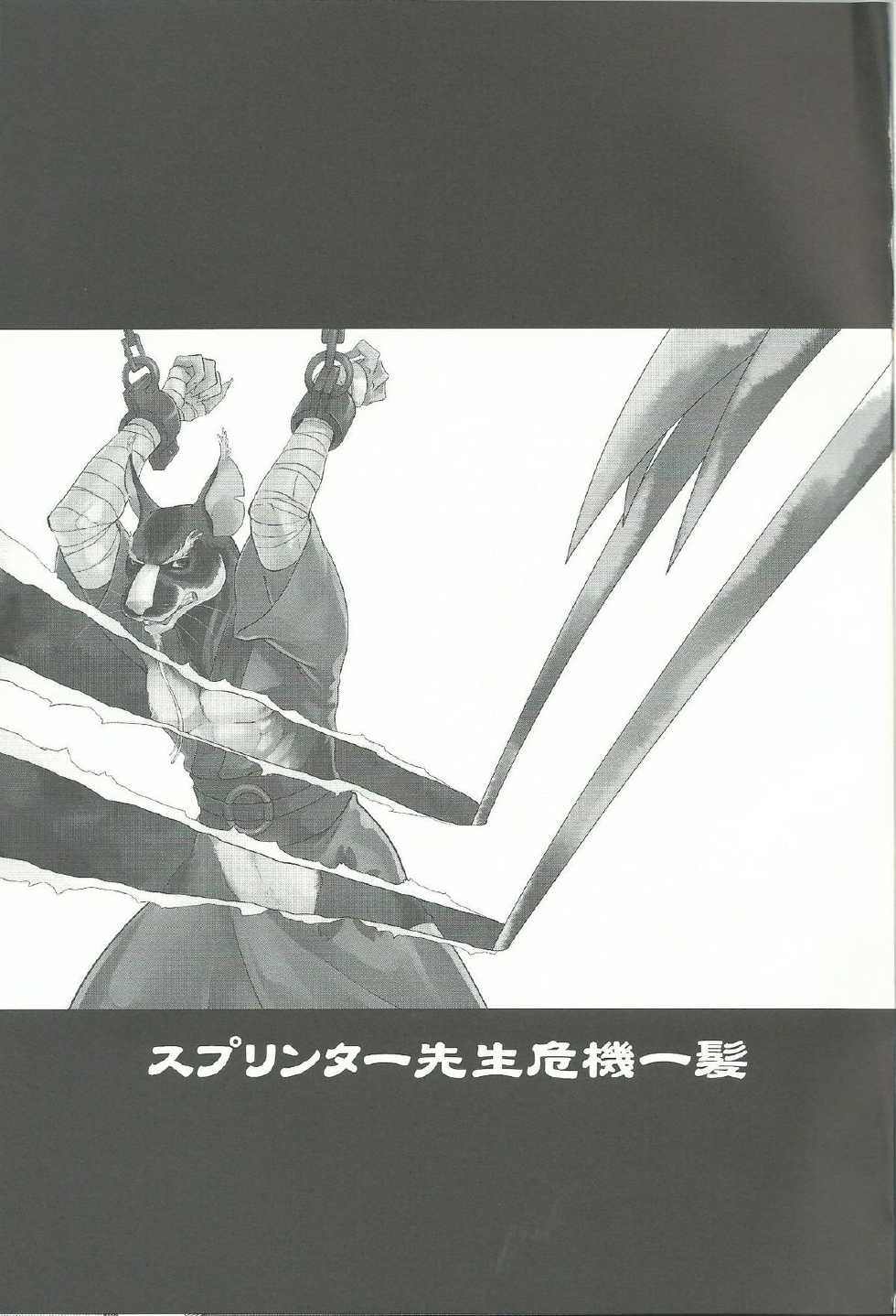 (Fur-st 8) [INK (Kreuz, Kandagawa Gufu)] Splinter-sensei Kiki-ippatsu (Teenage Mutant Ninja Turtles) - Page 2