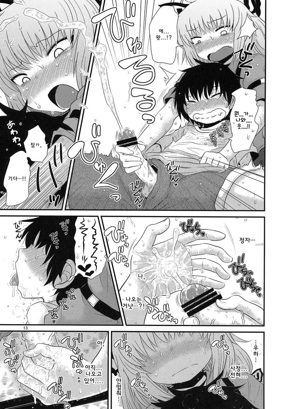 (C86) [Fugudoku (Katou Fuguo)] SURUDAKE Hachi. (Touhou Project) [Korean] [WestVatican] - Page 12