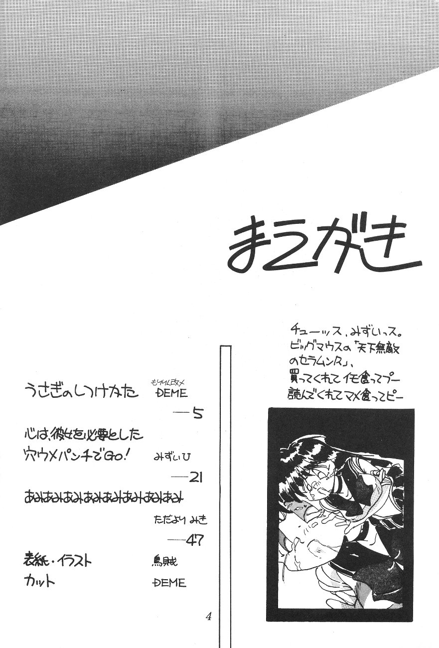 [Big Mouse (Various)] Tenka Muteki no Sailor Moon R (Bishoujo Senshi Sailor Moon) - Page 3