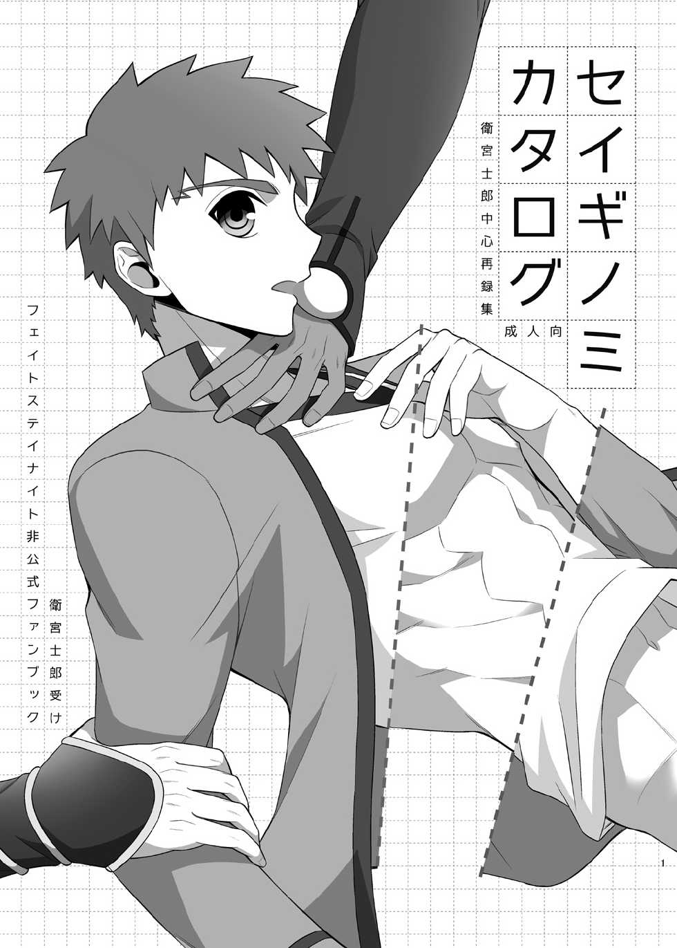 [TEKETO (Sanada)] Seiginomi Catalog (Fate/stay night) [Digital] - Page 2