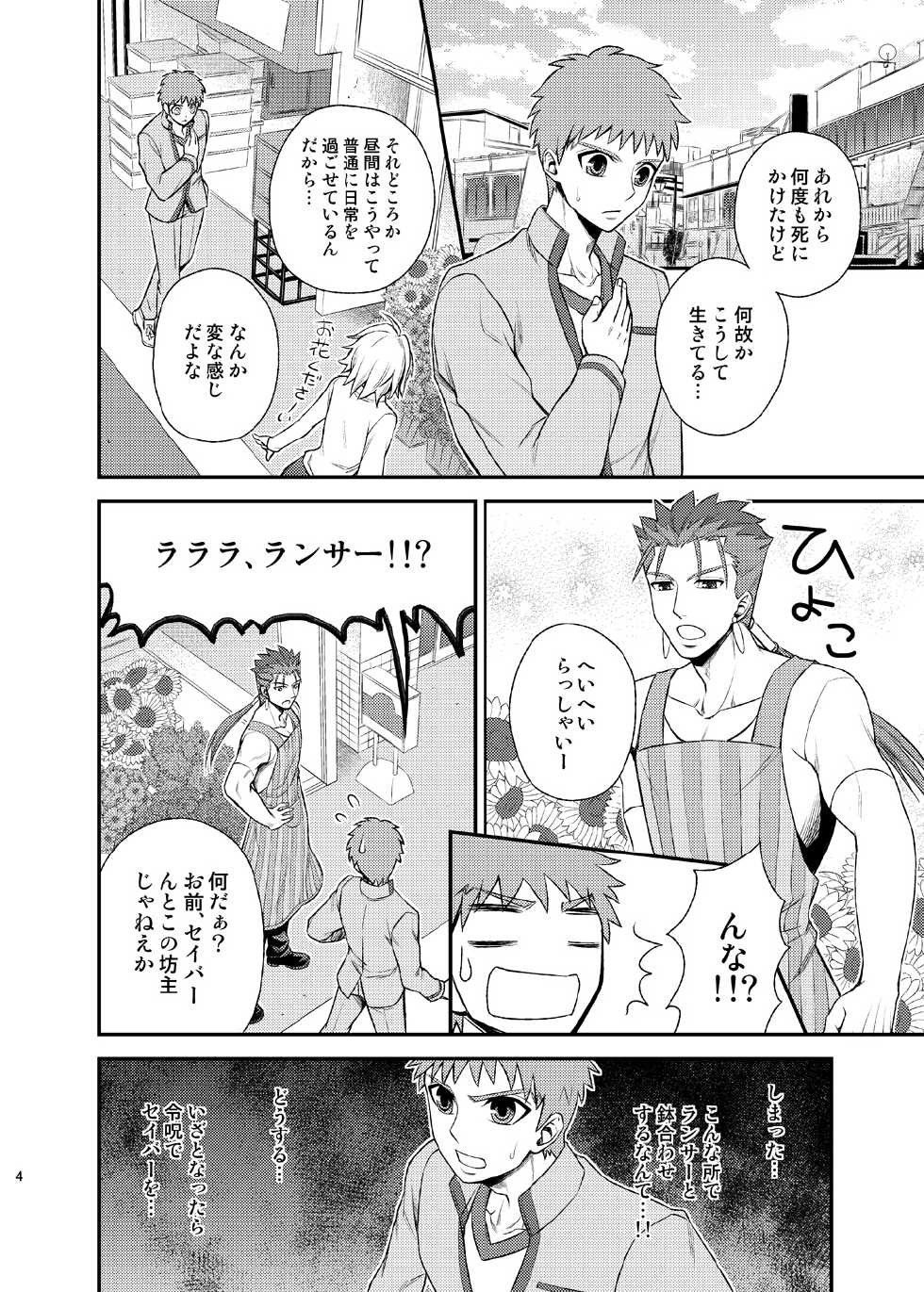 [TEKETO (Sanada)] Seiginomi Catalog (Fate/stay night) [Digital] - Page 5