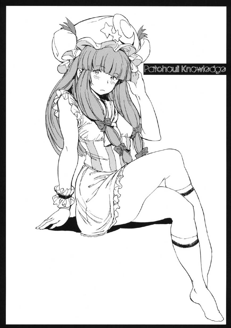 (C88) [Egao de Bouryoku (mogg)] Shinryakusha + Paper (Touhou Project) [Chinese] [南音で五樓で叉叉 漢化] - Page 23