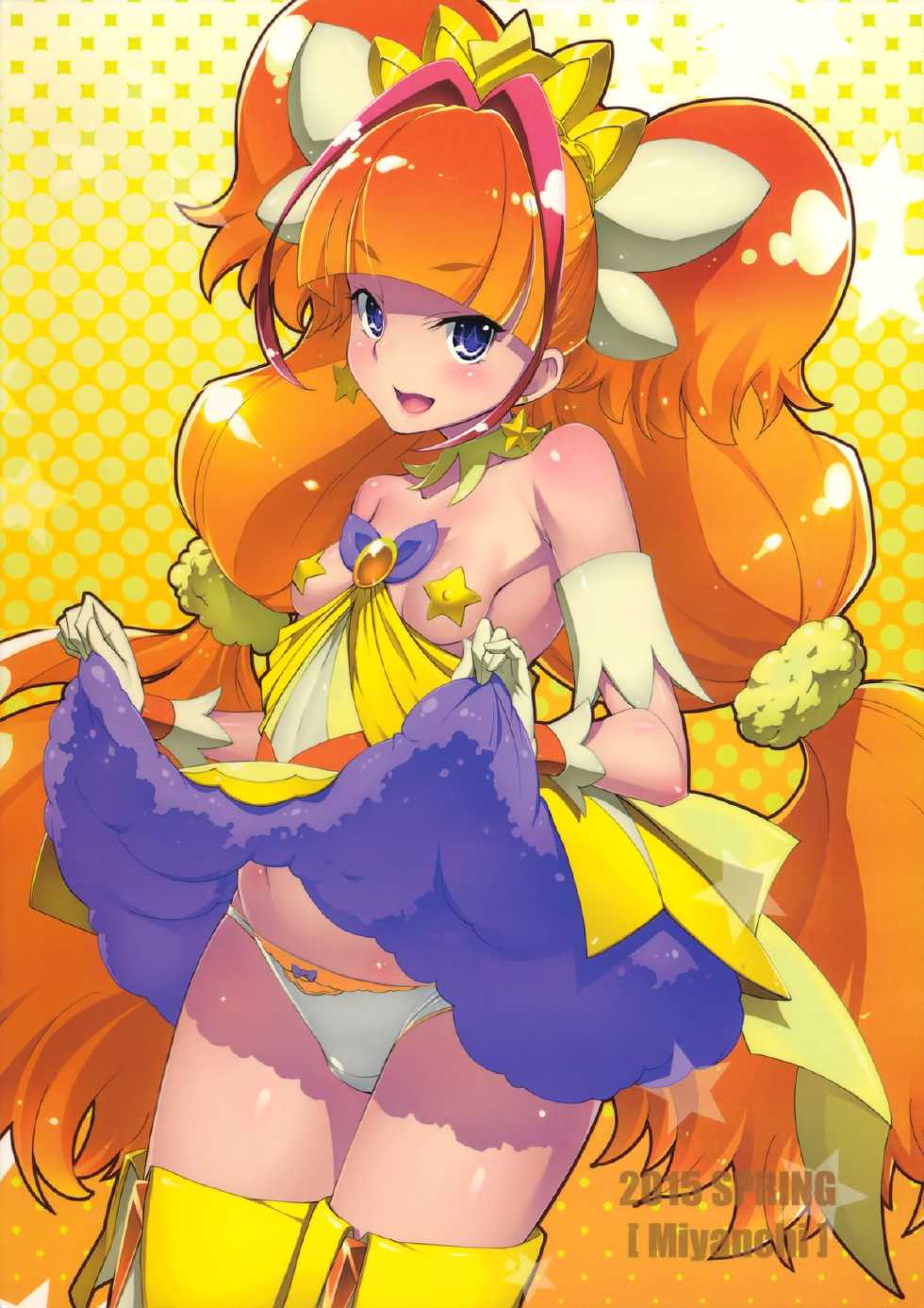 (COMIC1☆9) [Miyanchi (Miyagoe Yoshitsuki)] Princess Photo Session! (Go! Princess PreCure) - Page 25