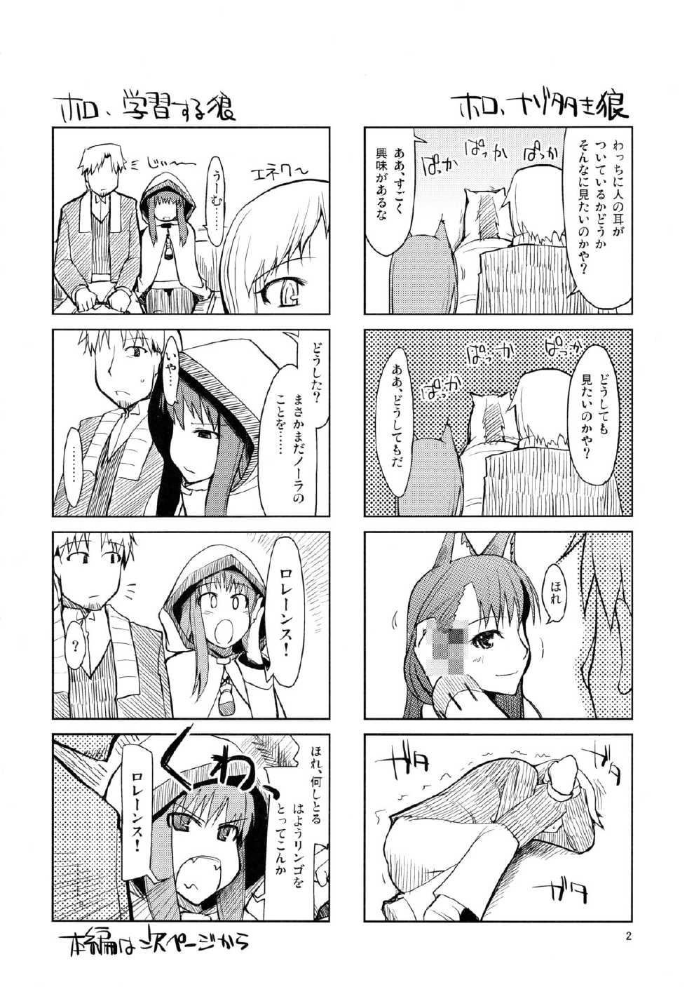 (SC39) [Forbidden-Lips (Ryo)] wolf’s regret (Spice and Wolf) - Page 3