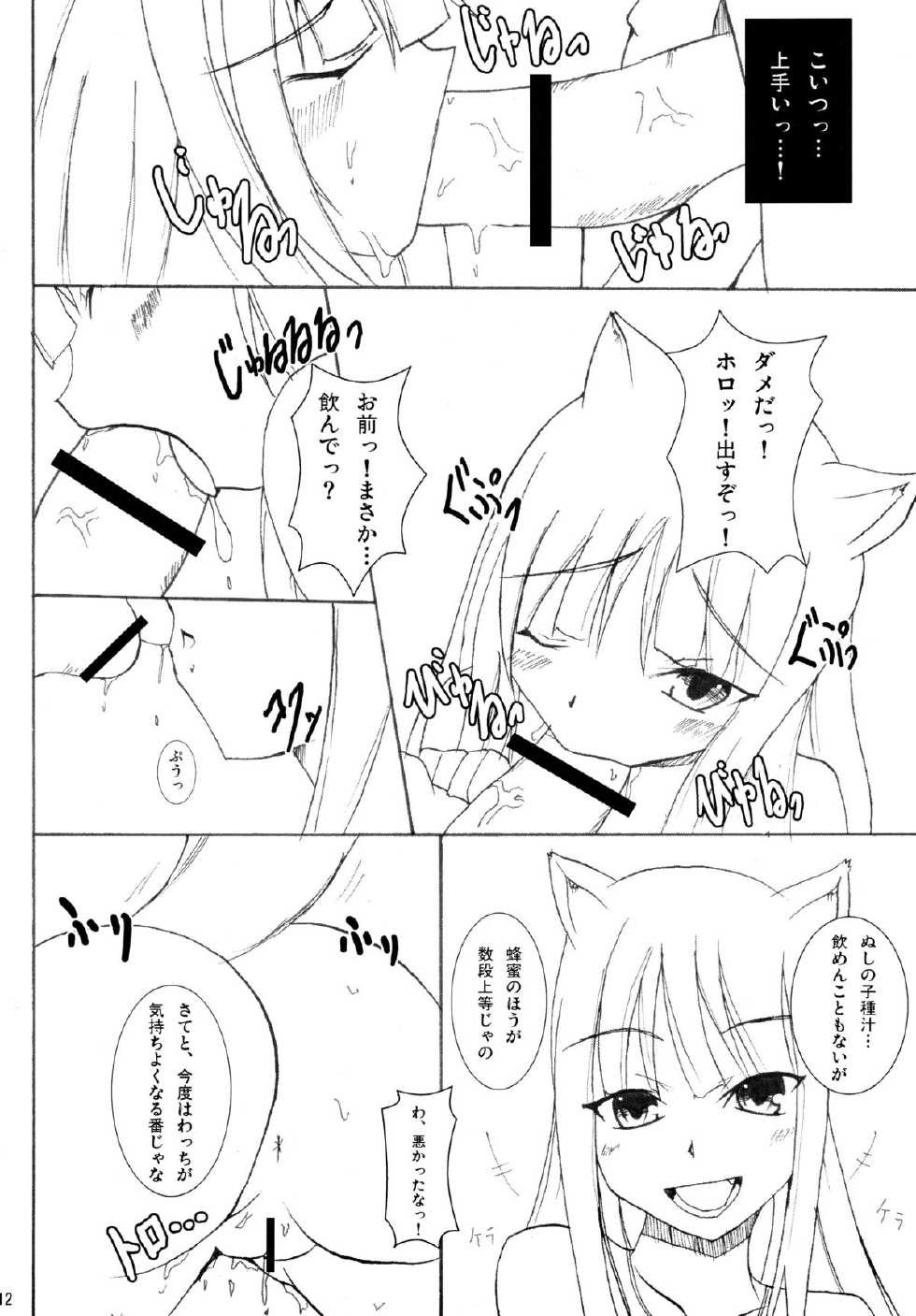 (COMIC1☆2) [Kou Kidou Shoujo (Fujisaki Sora)] Naked Spice (Spice and Wolf) - Page 12