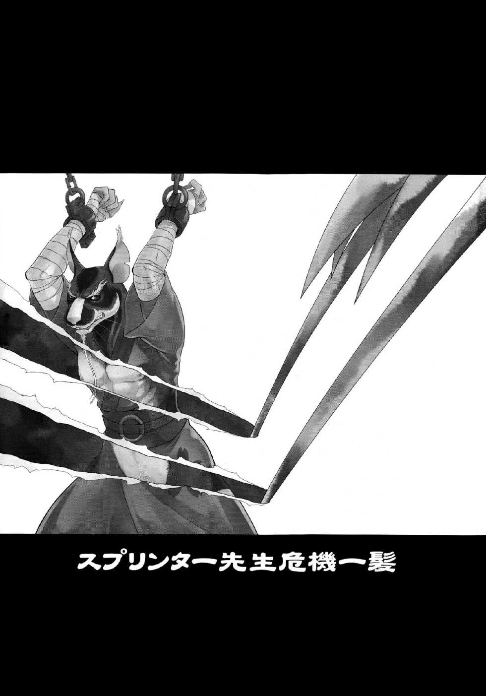 (Fur-st 8) [INK (Kreuz, Kandagawa Gufu)] Splinter-sensei Kiki-ippatsu (Teenage Mutant Ninja Turtles) - Page 3