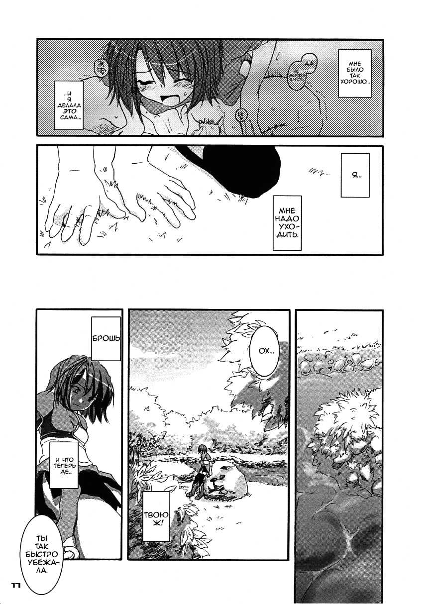 (C65) [Digital Lover (Nakajima Yuka)] D.L. action 21 (Ragnarok Online) [Russian] [﻿dozer, Shuusai] - Page 17
