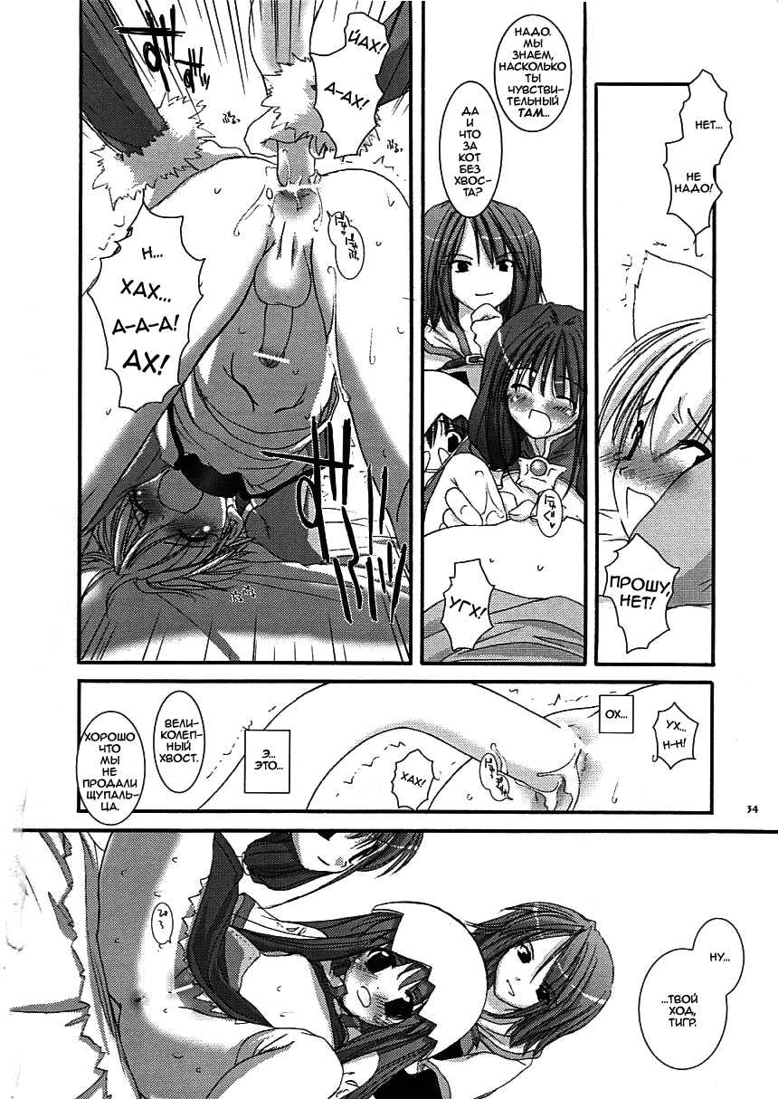 (C64) [Digital Lover (Nakajima Yuka)] D.L. Action 19 (Ragnarok Online) [Russian] [﻿dozer, Shuusai] - Page 34