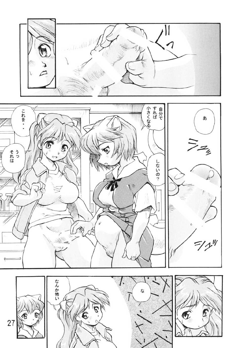 (COMIC1☆7) [Studio Parfe (Dohi Kensuke)] Harami Shito Ayanami-san Soushuuhen (Neon Genesis Evangelion) - Page 26