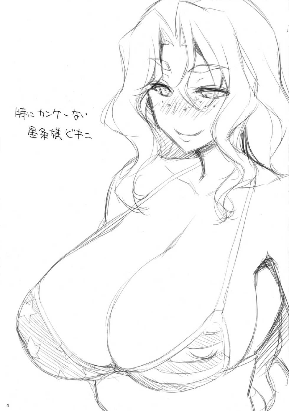 (C88) [NF121 (Midori Aoi)] Inyoku no Strauss (Super Robot Wars) - Page 3