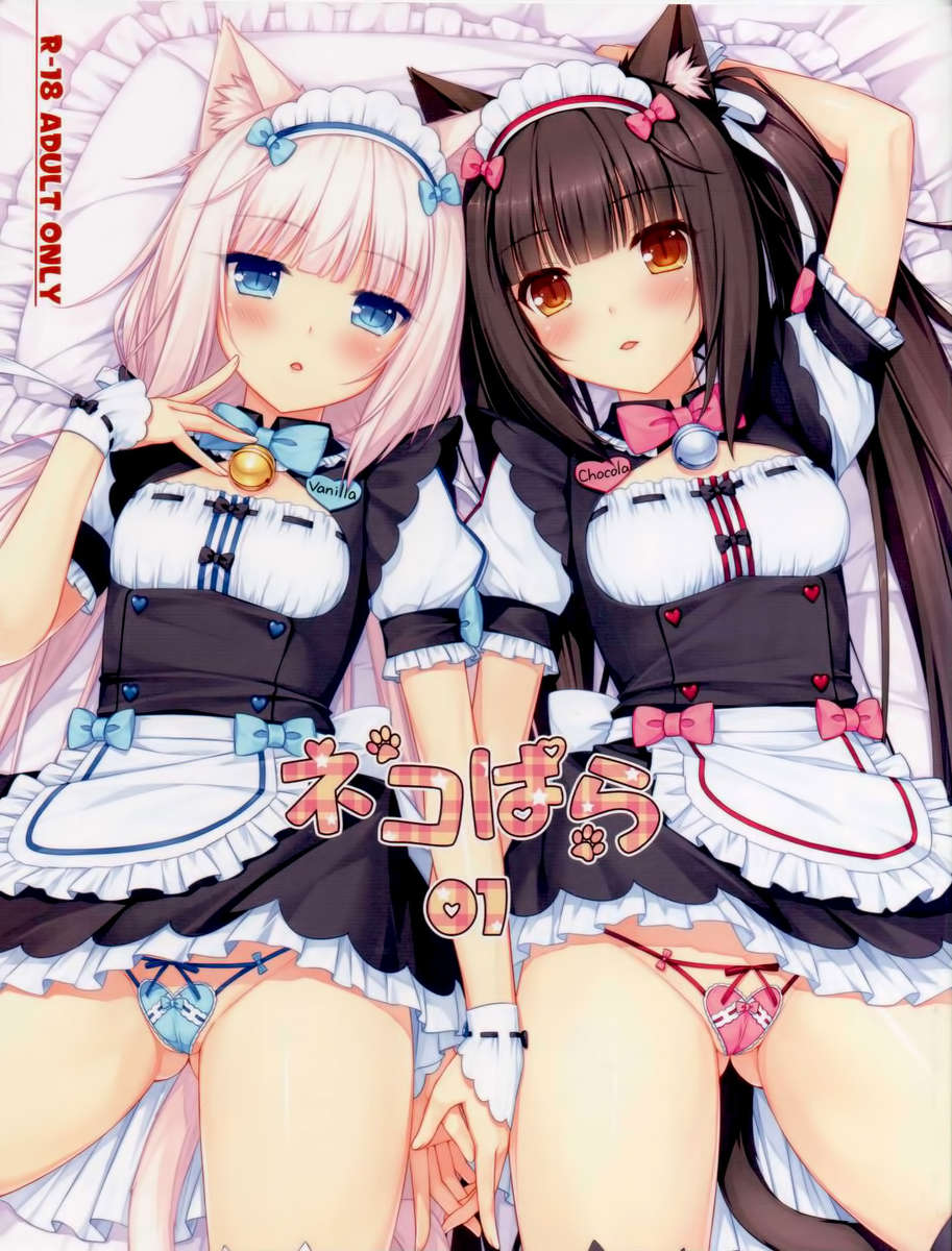 (C84) [NEKO WORKs (Sayori)] Neko Para 01 [Spanish] [Otakurinos Fansub] [Decensored] - Page 1