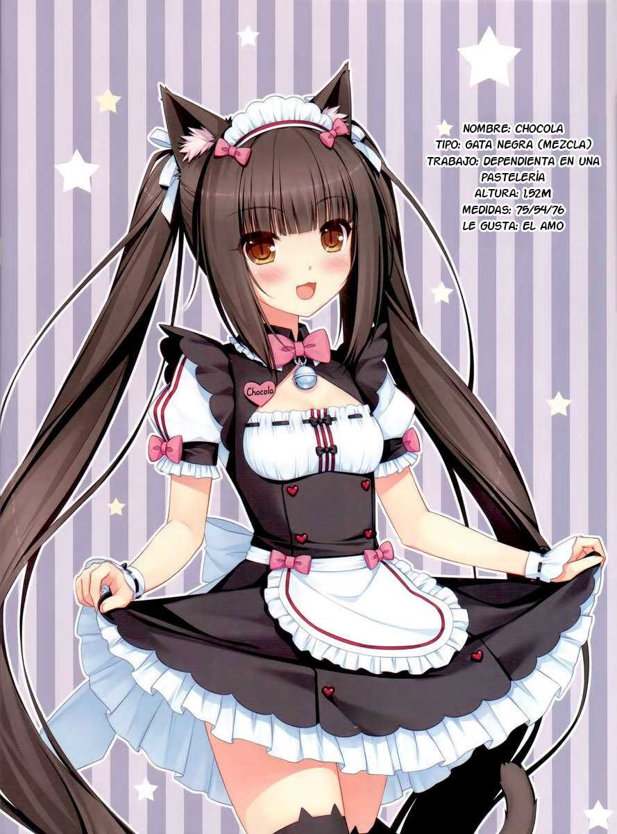 (C84) [NEKO WORKs (Sayori)] Neko Para 01 [Spanish] [Otakurinos Fansub] [Decensored] - Page 11