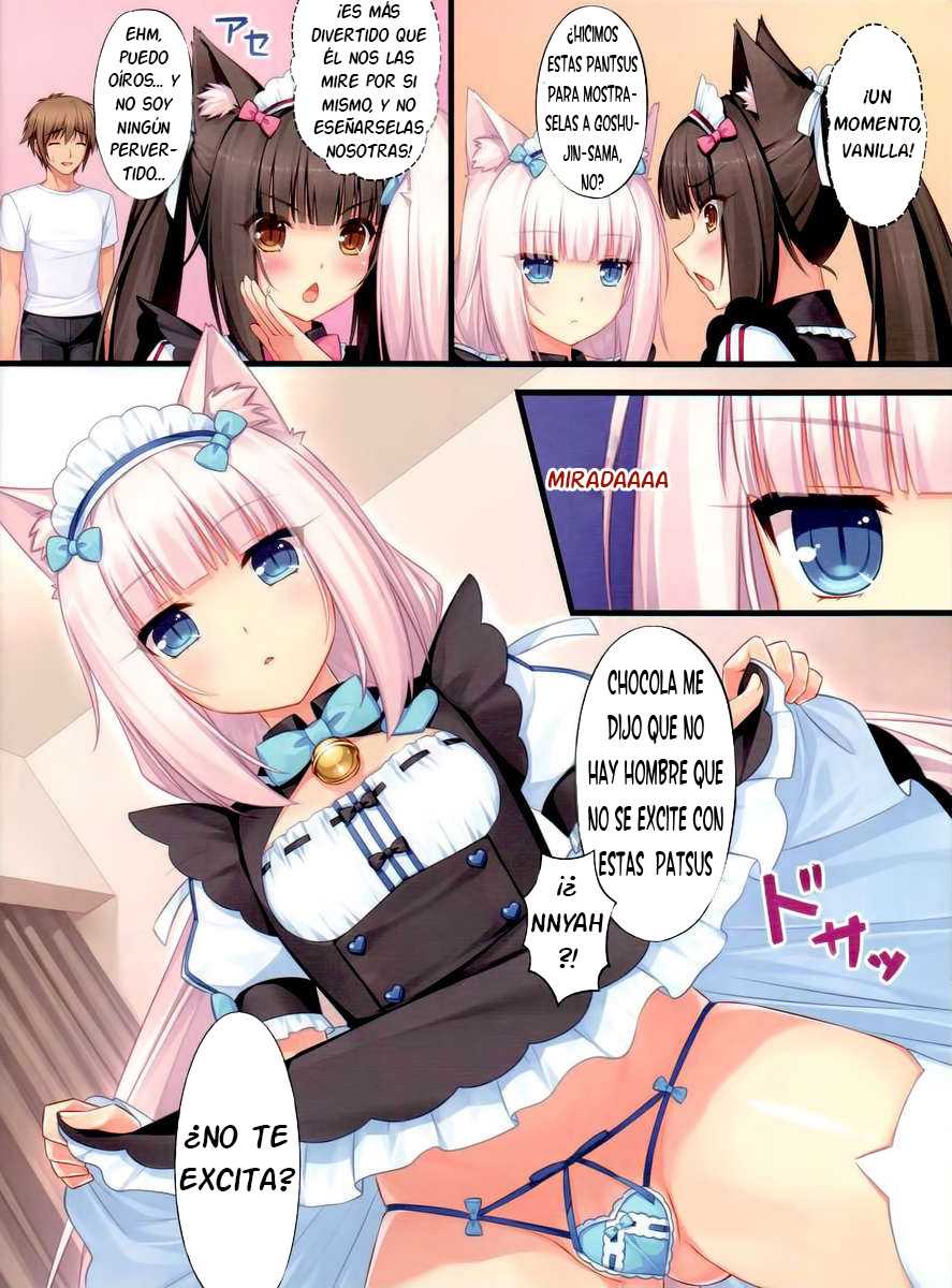 (C84) [NEKO WORKs (Sayori)] Neko Para 01 [Spanish] [Otakurinos Fansub] [Decensored] - Page 15