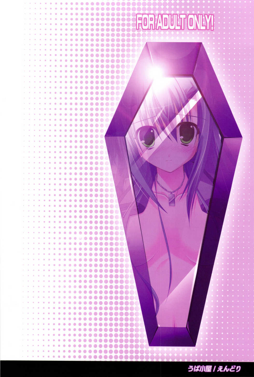 (SC42) [Upagoya (Endori)] EXPANSION (Mahou Shoujo Lyrical Nanoha) - Page 18