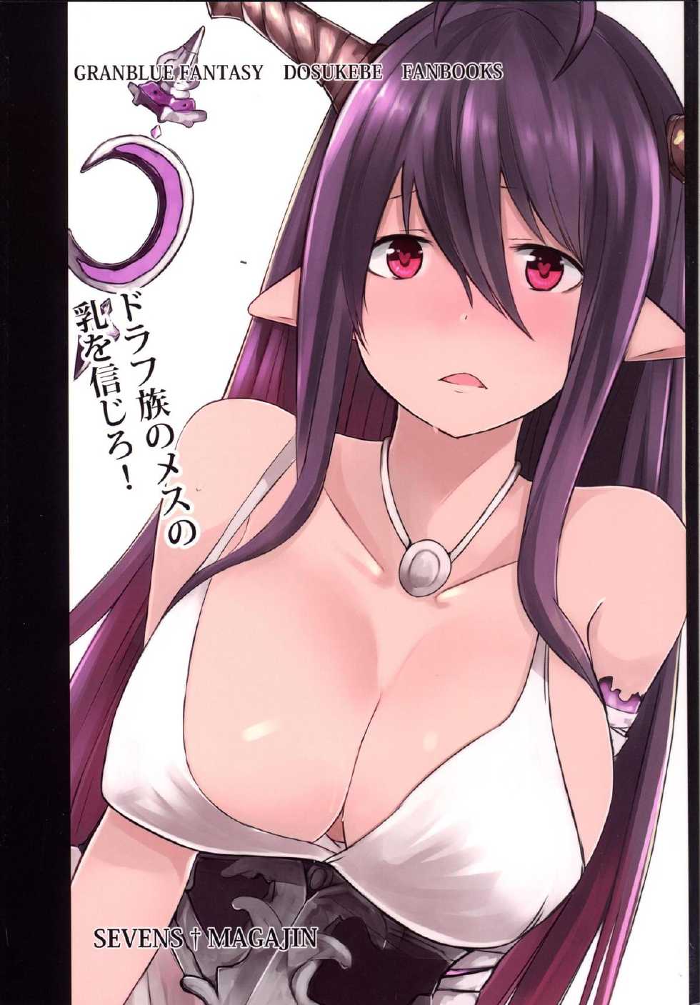 (C88) [Sevens Magajin (Nerotarou, HisayakiQ)] Danua no Hajimete Hatsujouki (Granblue Fantasy) - Page 22