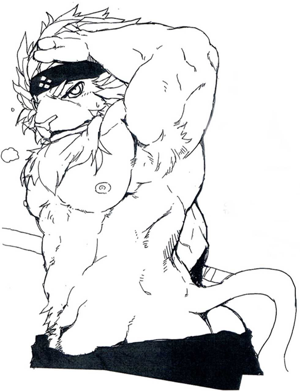 (C84) [Senmatu-Chaya (Kamado)] Animal Giga (Sengoku Puzzle!! Animal Daigassen) [Spanish] [Tiger_Kanji] - Page 19