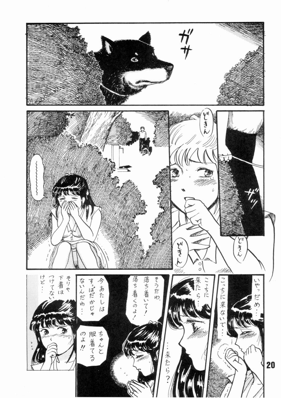 (C43) [THE GARDEN (Itou Masaya)] Natsu no Yoru wa Mitabi Hohoemu - Page 19