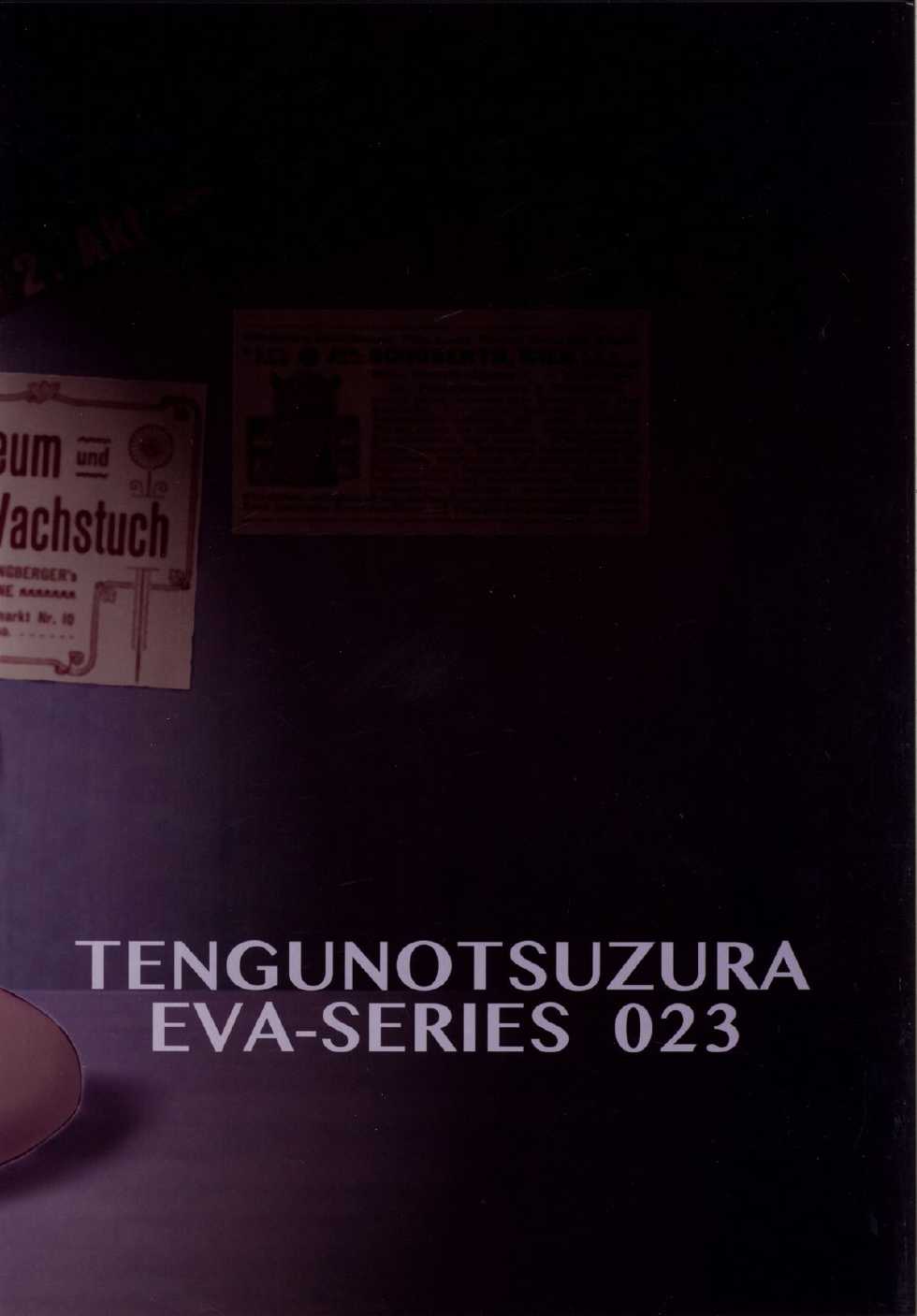 [Tengu no Tsuzura (Kuro Tengu)] HIMEGANE (Neon Genesis Evangelion) [Digital] - Page 26