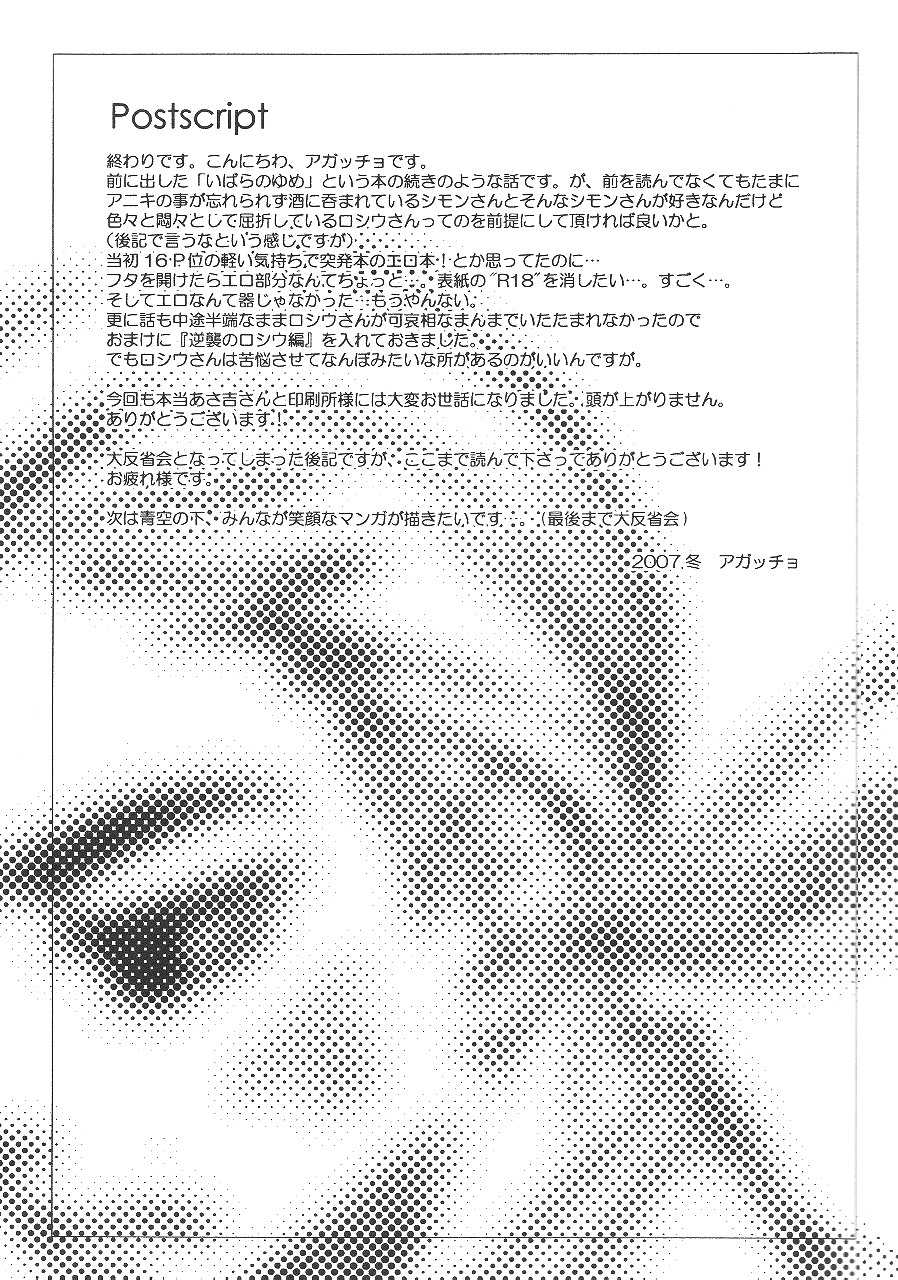 (C73) [Tokyo Coin Rocker Baby (agaccho)] Ibara no Toge (Tengen Toppa Gurren Lagann) - Page 28