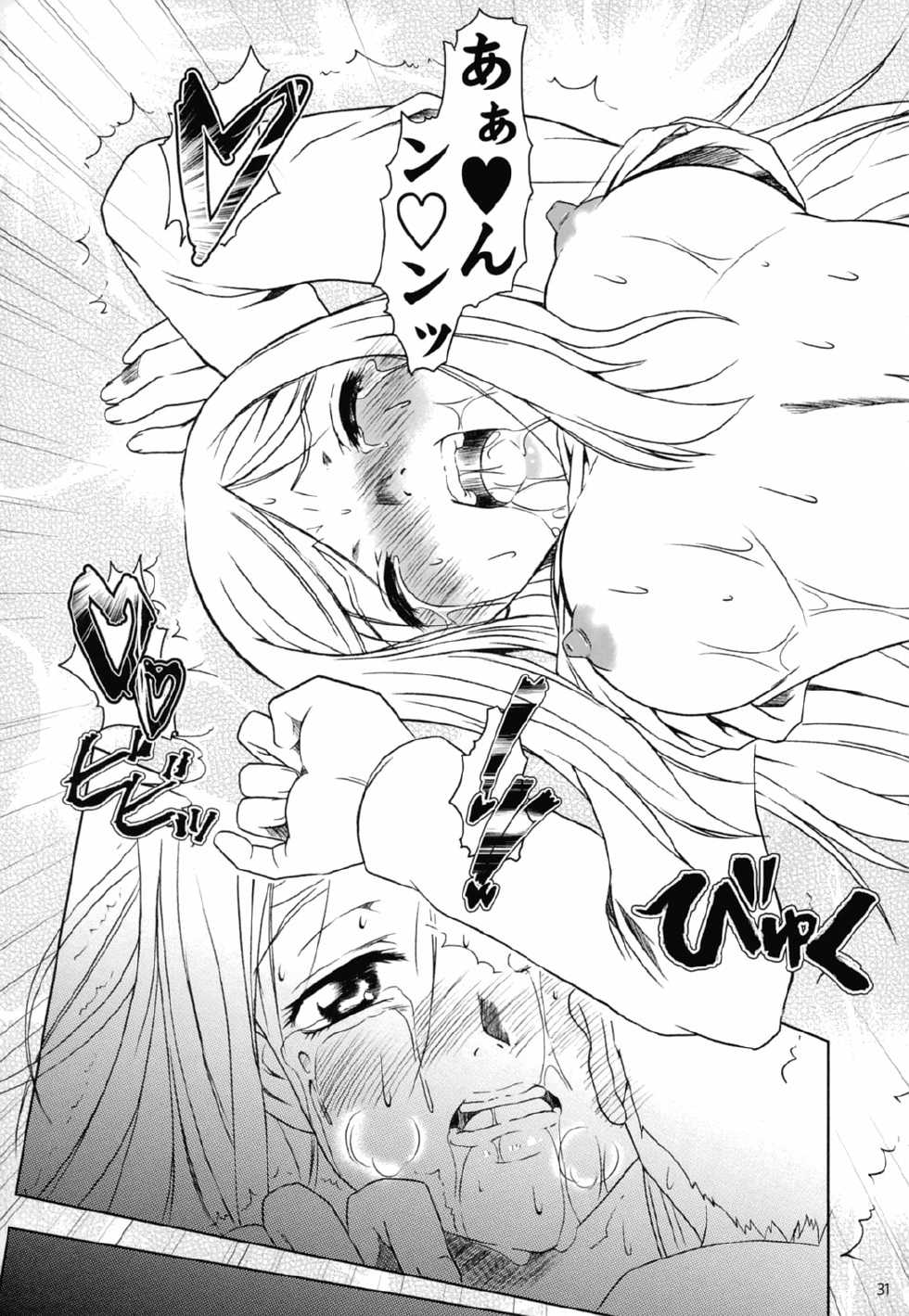 (C67) [Fetish Children (Apploute)] Tojita Rinbu (Mai-HiME) - Page 30