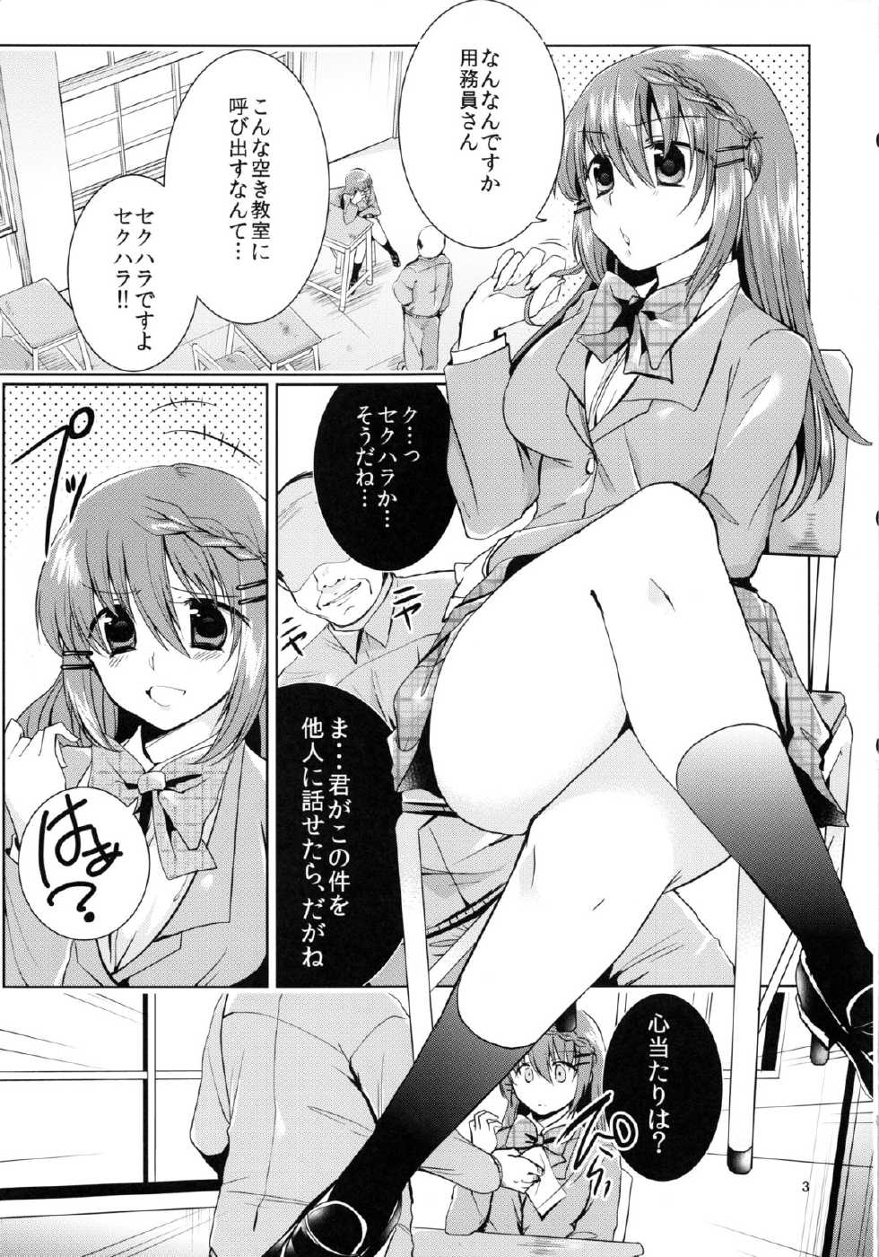 (C87) [Berry!16 (Mori Guruta)] Ryoujoku Sanran Play. - Page 4