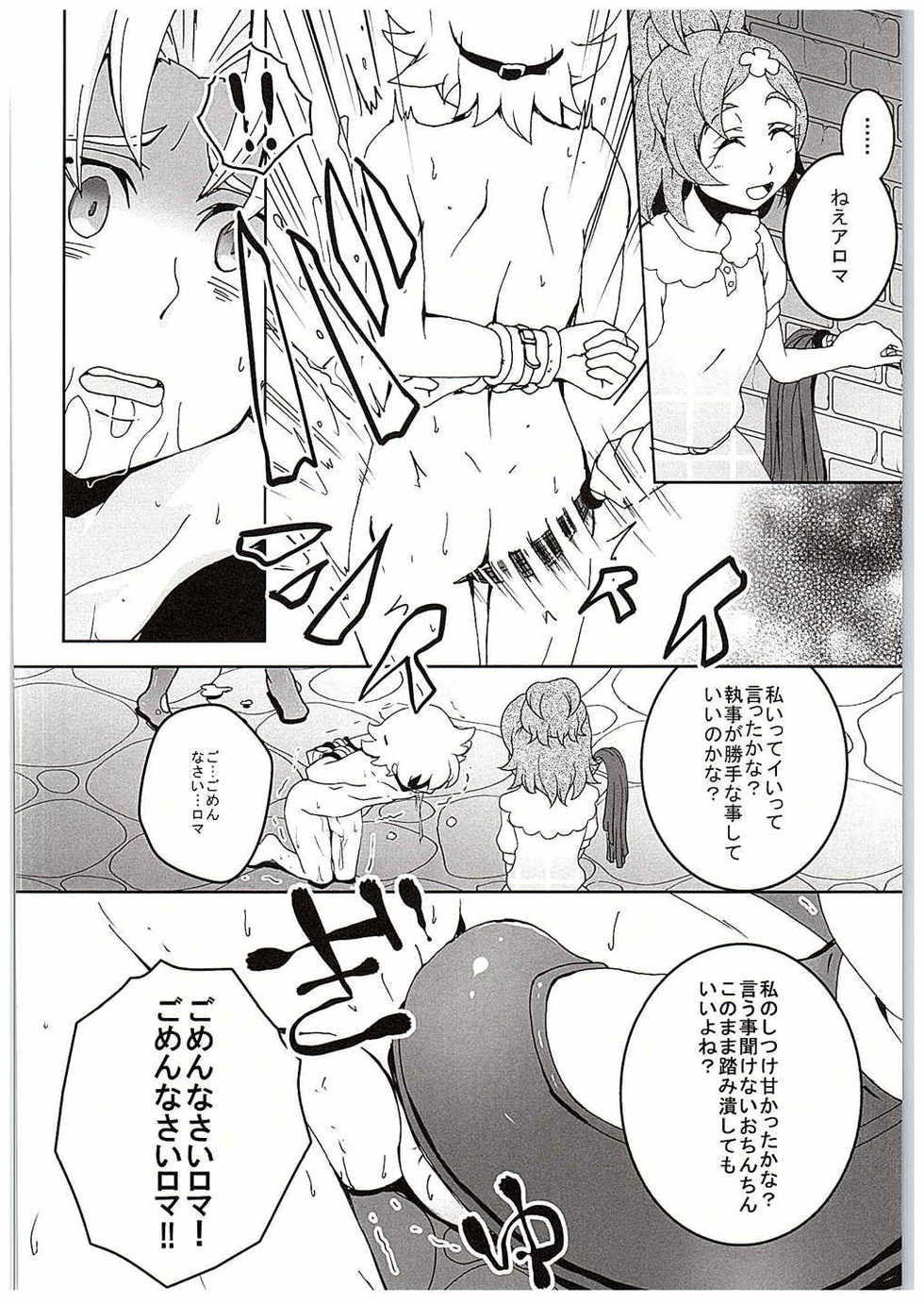 (C88) [Ai no Kura (Takahagi Kemono)] PreCure ni Horobo Sareta Oukoku no Hime (Go! Princess PreCure) - Page 9