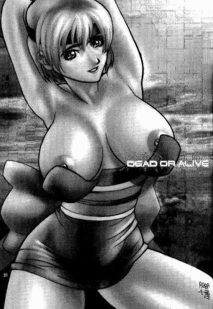 (CR27) [Megami Kyouten (Aoki Reimu)] Yuremakuri (Dead or Alive) - Page 30