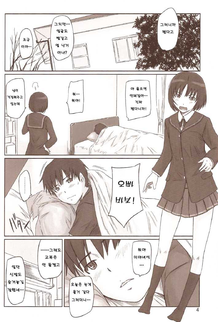 (C78) [G's Studio (Kisaragi Gunma)] SAE-BON (Amagami) [Korean] [팀 면갤] - Page 3
