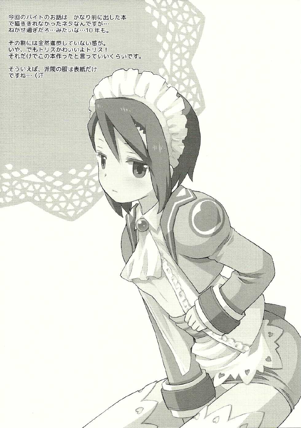 (COMIC1☆6) [B.BRS. (B.tarou)] Fukugyo no Susume (Summon Night 2) - Page 18